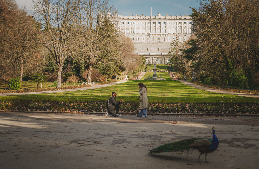 Caught the YES moment proposal in Madrid